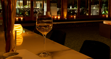 Indo Chinese Lounge Veg. Restaurant Franchise india