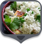 Indo Chinese Lounge Veg. Restaurant Franchise india